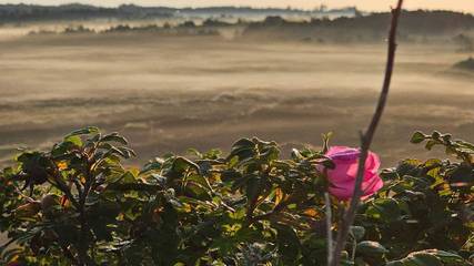 Bungalow für 7 Personen in Henne Strand, Westjütland, Bild 3
