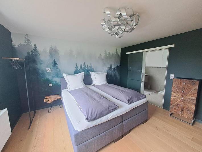 Maison d’hôte pour 2 personnes, avec vue ainsi que piscine et jardin à Stavelot - 4