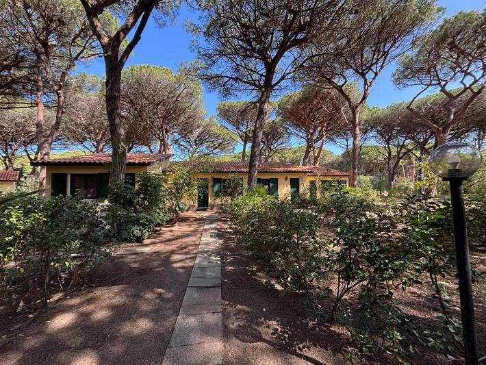 Gîte pour 3 personnes, avec jardin et piscine, animaux acceptés à Arborea - 3