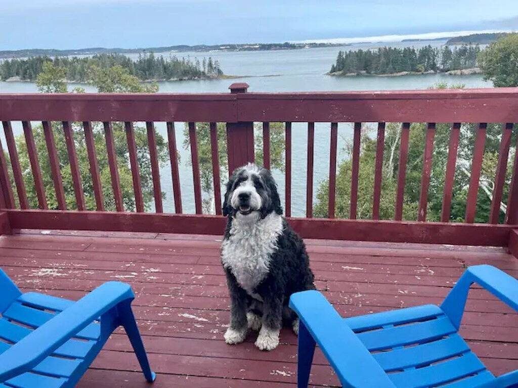 10% Rabatt 29. Juni - 13. Juli Birch Point / Atemberaubende Clifftop Oceanfront View in Washington County (Maine)