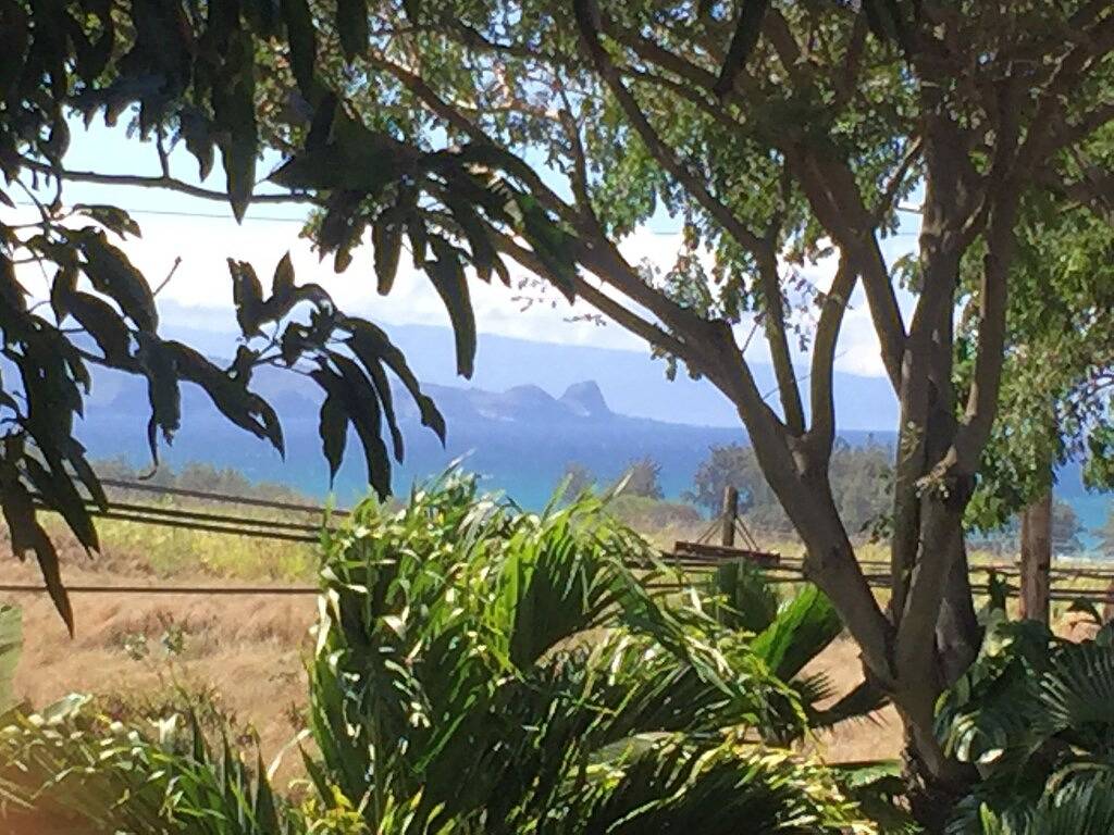 Ganze Wohnung, Privates Paia Studio in einem tropischen Schutzgebiet, nur einen kurzen Spaziergang von Paia Town & Beach entfernt. in Paia, Maui