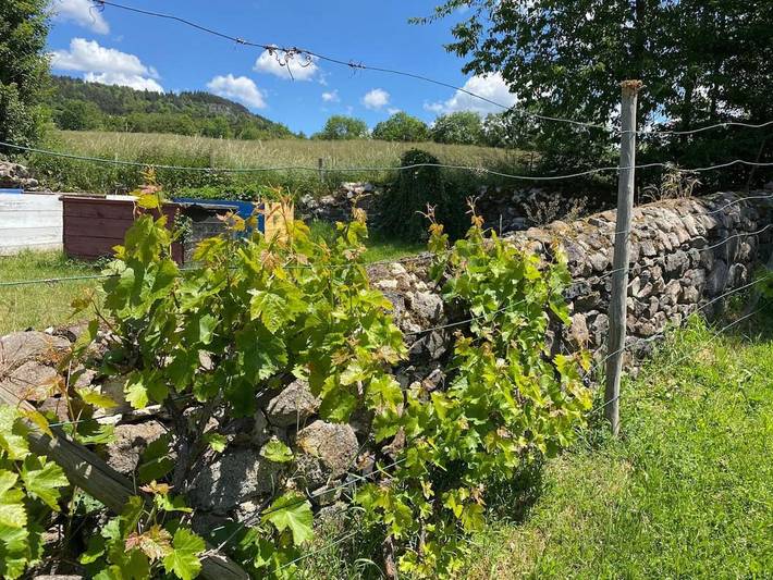 Location de vacances pour 5 personnes, avec vue et jardin, adapté aux familles dans Saint-Julien-du-Pinet - 2