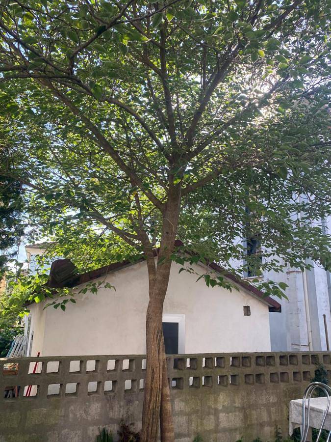 Casa vacanza per 4 persone, con giardino e panorama, con animali domestici a Bellaria-Igea Marina (Italia)