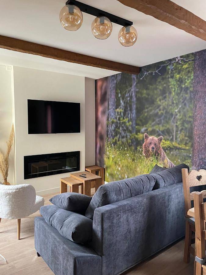 Appartement entier, Superior Studio in Porté-Puymorens, Parc naturel régional des Pyrénées catalanes