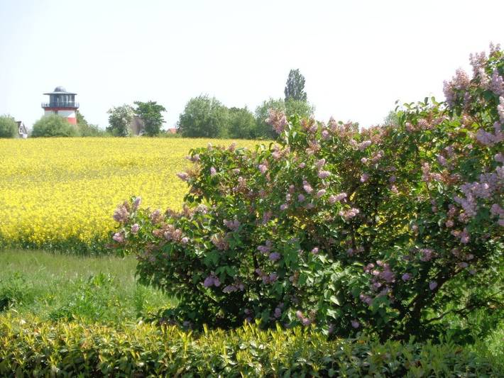 Gemütliche Ferienwohnung mit Terrasse, nur wenige Schritte von der Küste und den Restaurants in der Wohlenberger Wiek entfernt in Gramkow, Hohenkirchen