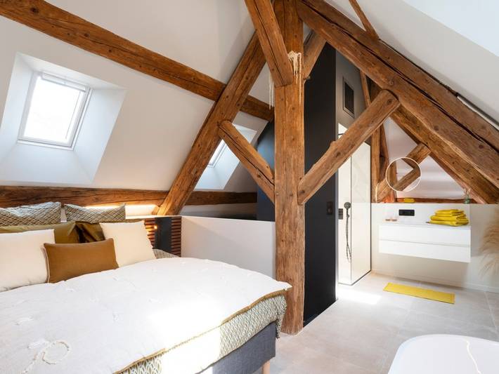 Ganze Wohnung, Modernes Loft mit altem Charme, klimatisiert, nahe Stanislas-Platz in Nancy, Nancy und Umgebung