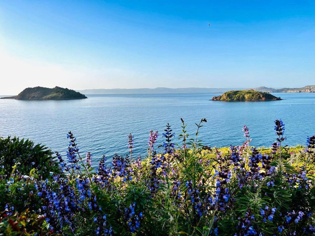 Eleia Seafront Rooms & Villas in Petra (Griekenland), North Aegean Islands