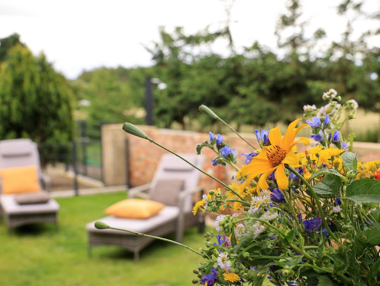 Ganze Ferienwohnung, Seenest Lieske - Tiny House 'Floris' in Neu-Seeland, Lausitzer Seenland