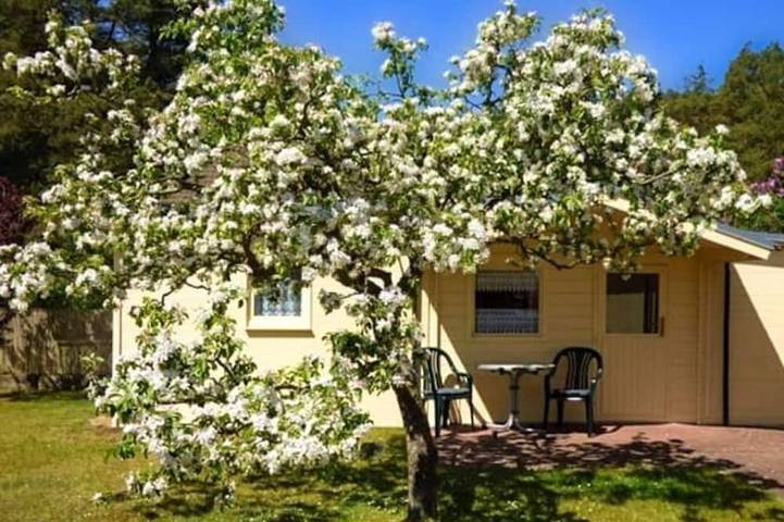 Bungalow für 2 Personen, mit Garten in Loddin - 4