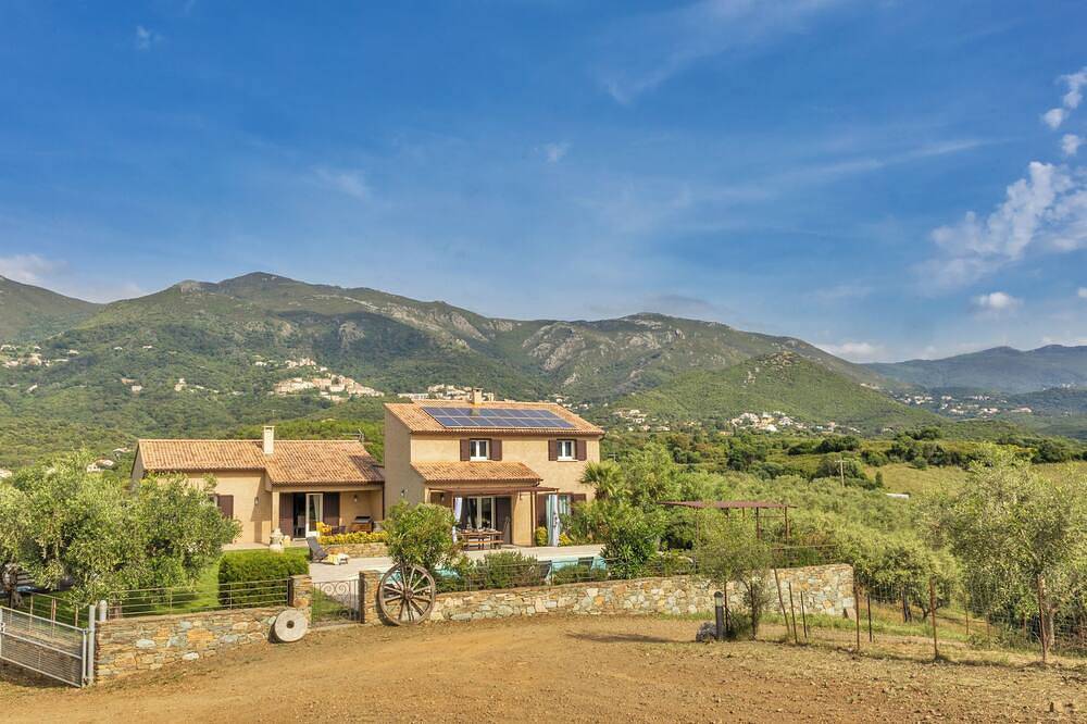 2 ville con piscina in un uliveto in Corsica: relax e serenità ... in Oletta, Calvi e dintorni