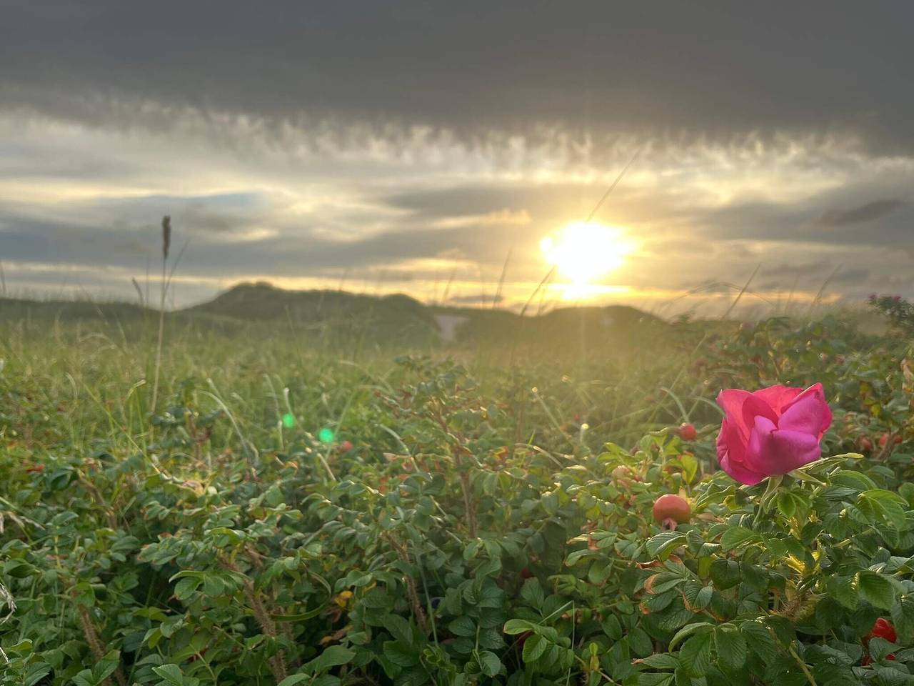 6 Personen Ferienhaus in Blåvand in Ho, Varde