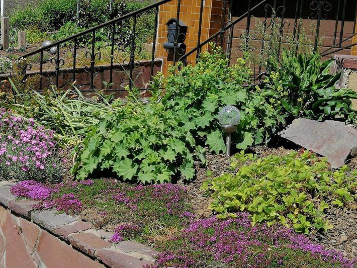 Ferienwohnung für 4 Personen, mit Garten im Saarland - 4