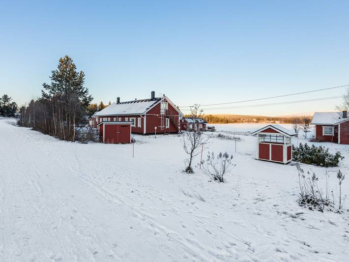 Tammukka i in Äkäslompolo, Lappland