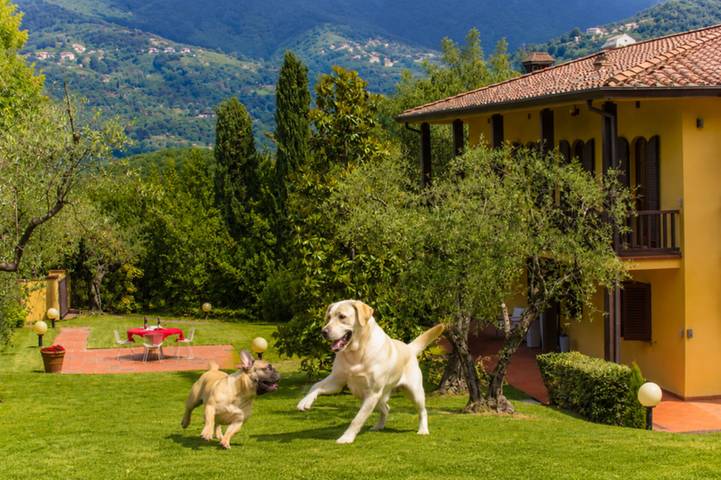 Villa voor 8 personen, met terras en tuin, met huisdier in Lucca