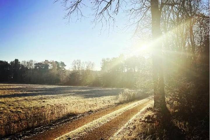 Ferienhaus für 12 Personen, mit Garten und Sauna sowie Ausblick in Naturpark Barnim - 4