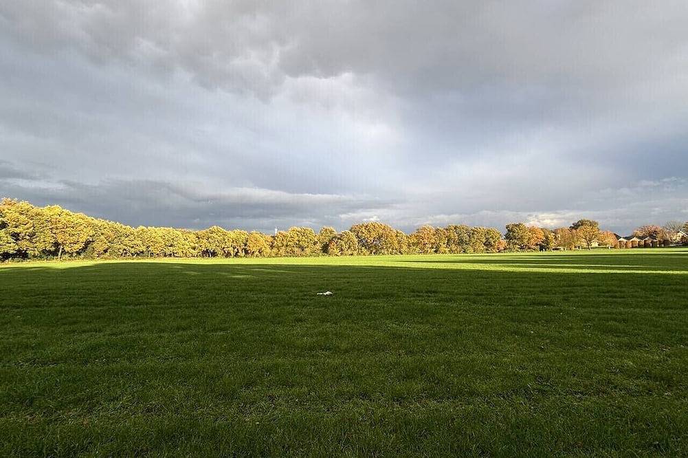 Boshuis Haen | Luxe vakantiehuis op de Veluwe in Ermelo, Veluwe
