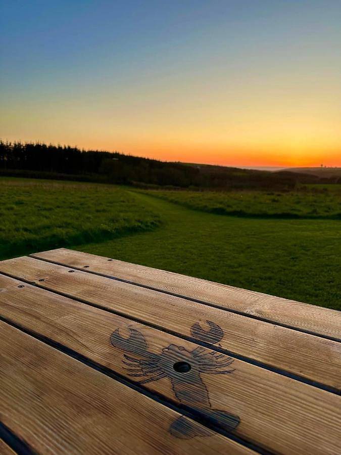 Ferienpark für 4 Personen, mit Garten in Cornwall - 2