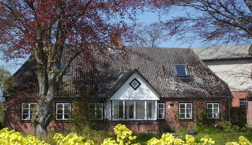Ferienhaus für 5 Personen, mit Terrasse und Garten, kinderfreundlich in Stoltebüll