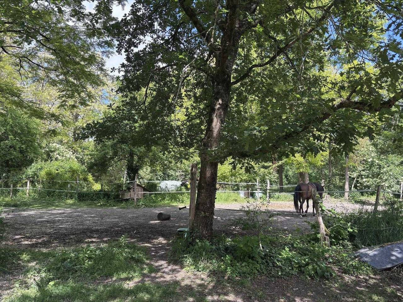 Acogedor B&B con jardín e internet gratuito - A 2 km del centro de Maisse in Buno-Bonnevaux, Parc naturel régional du Gâtinais français