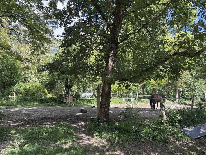 Chambre d’hôte pour 3 personnes, avec Jardin dans Essonne - 3