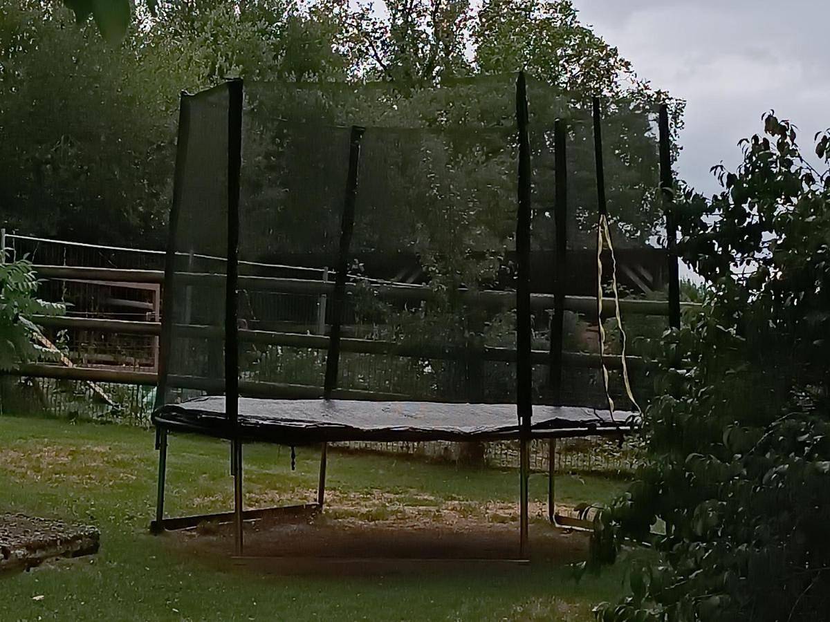 Charmant gîte en Normandie avec jardin et activités à sensations - Fr-1-410-300 in Arçonnay, Sarthe