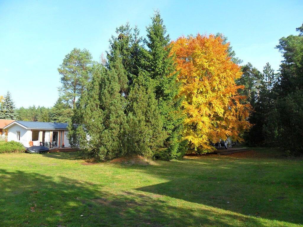 Am Walde Komfortable Ferienresidenz in Wooster-Teerofen, Neu Poserin
