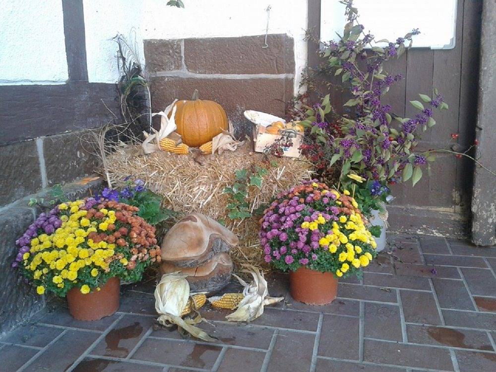 Anitas Landerlebnis - Schwalbennest in Witzenhausen, Werratal