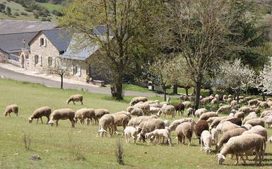 Maison De Vacances pour 6 Personnes dans Montbrun, Massif central, Photo 2