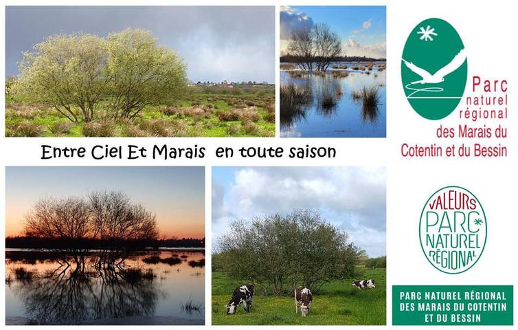 Maison de vacances pour 4 personnes, avec sauna et jardin