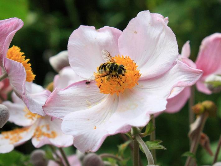 Ferienwohnung für 2 Personen, mit Garten in Hilders - 4