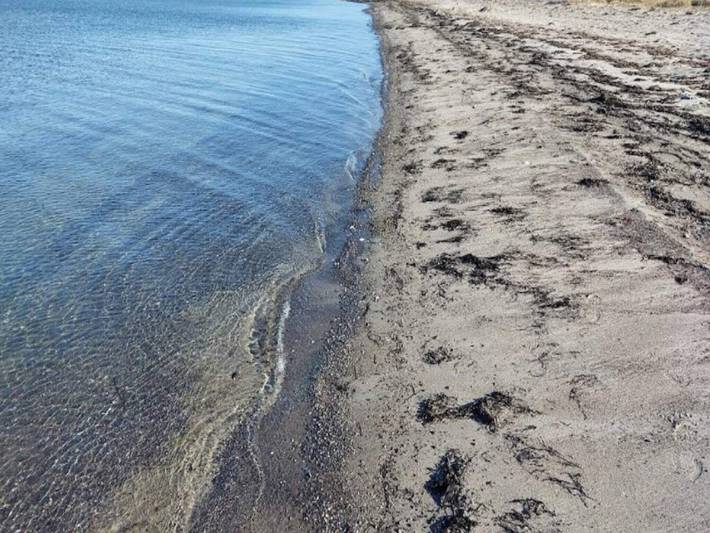 Kustenparadies in Stoense in Stoense, Tranekær