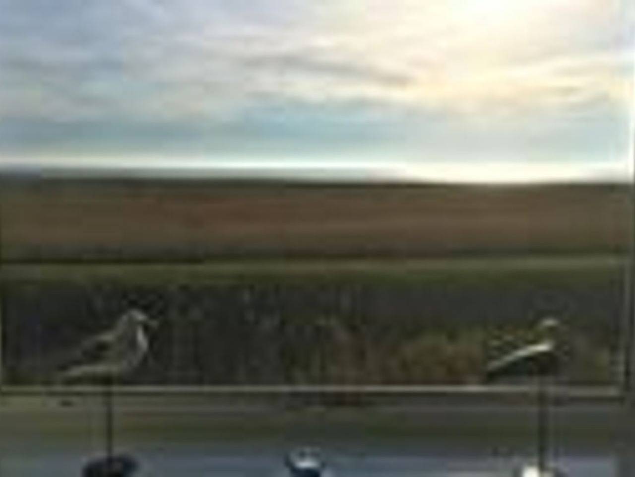 Ganze Ferienwohnung, Thora Jaiken - Hüs Thora Jaiken "App.Birthe" in Rantum, Sylt (Gemeinde)