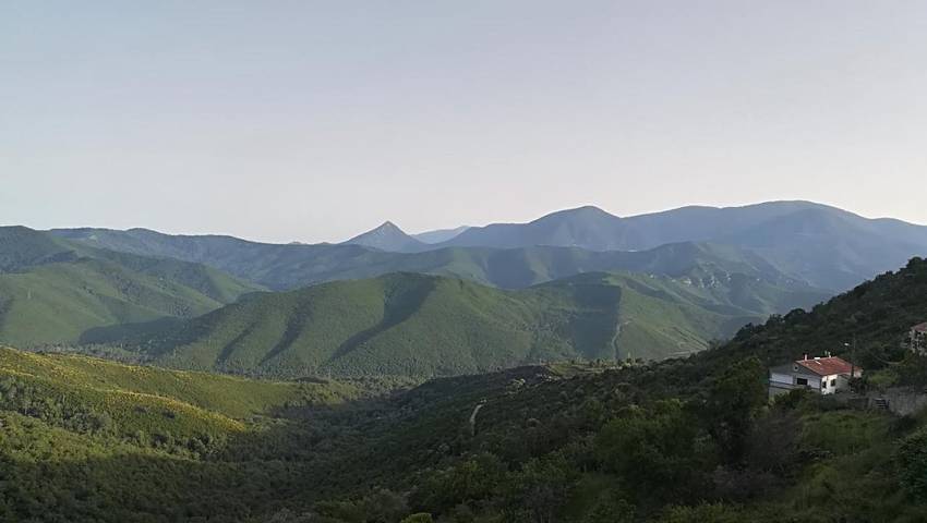 Chambre d’hôte pour 6 personnes, avec terrasse ainsi que jardin et vue en Corse - 3
