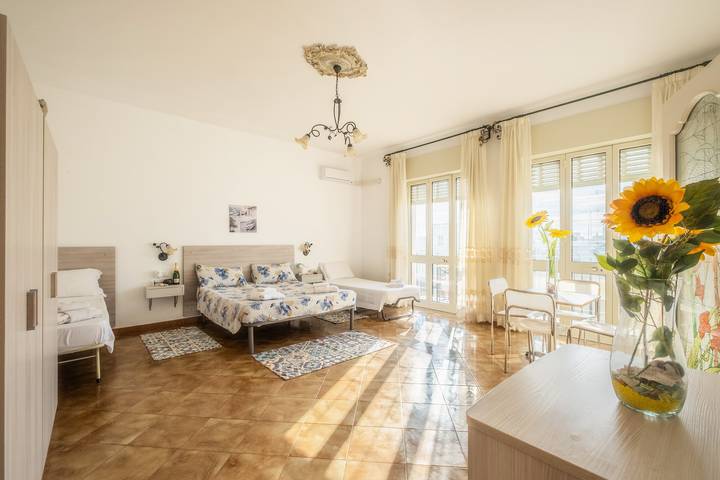 Room for 4 people, with balcony, with pets - 1