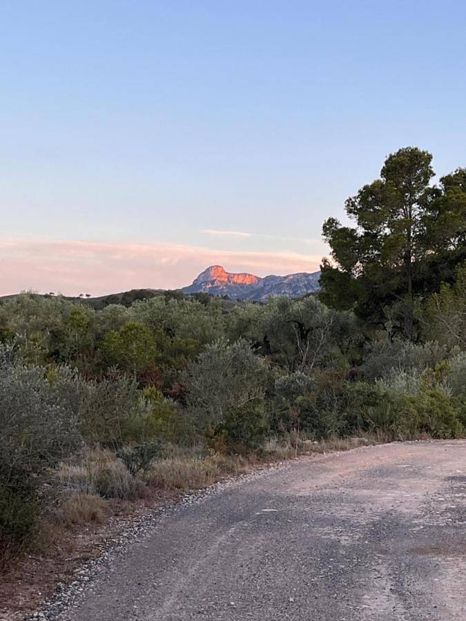 Apartamento de vacaciones para 2 personas, con piscina y vistas además de terraza y jardín en Provincia de Tarragona - 3