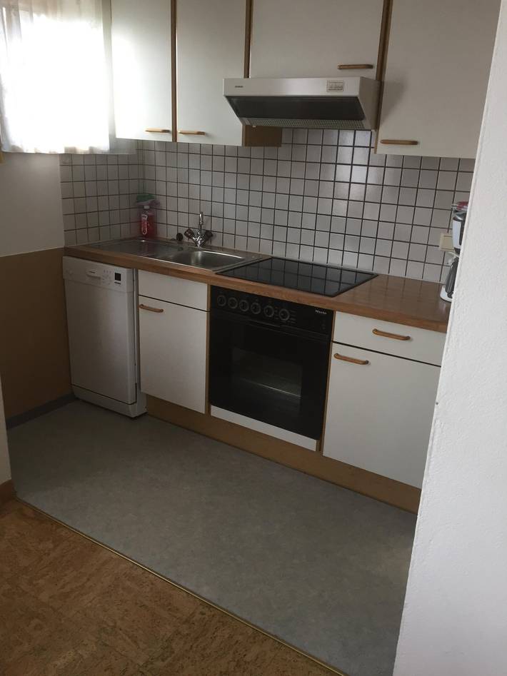 Ganze Ferienwohnung, Appartement 1 in Hollersbach im Pinzgau, Pinzgau