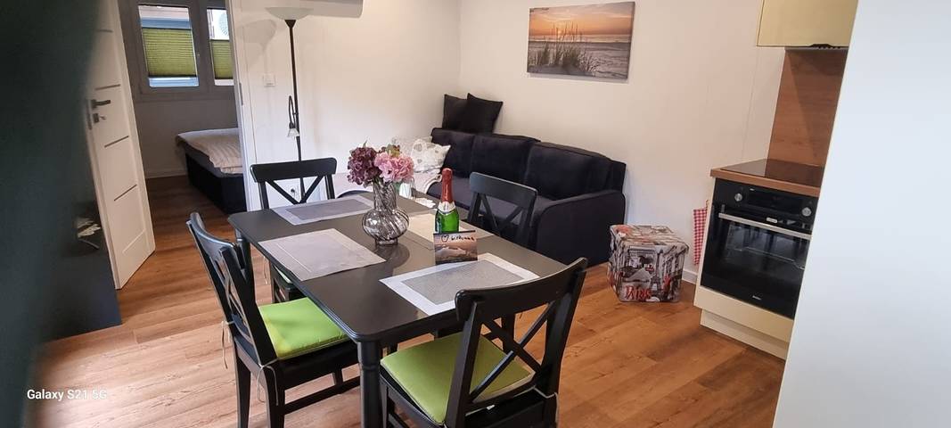 Ferienhaus für 4 Personen, mit Terrasse und Sauna in Mecklenburgische Seenplatte - 3
