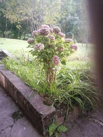 Location de vacances pour 4 personnes, avec balcon et vue, animaux acceptés à Macra