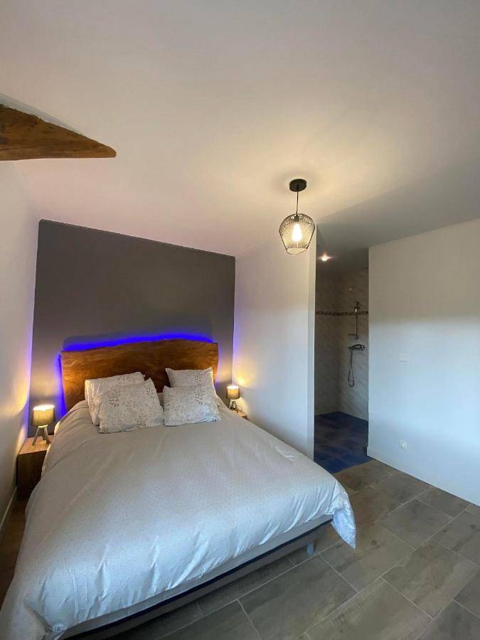 Seven-Bedroom House in La Salvetat-Belmontet, Tarn-et-Garonne