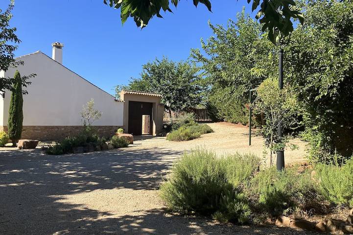 With swimming pool, barbecue. Among the P.N. Las Lagunas de Ruidera, Tablas de Daimiel. in Alhambra, La Mancha
