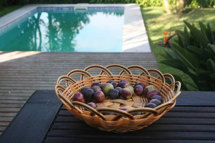 Location de vacances pour 6 personnes, avec jardin et terrasse dans Terroso