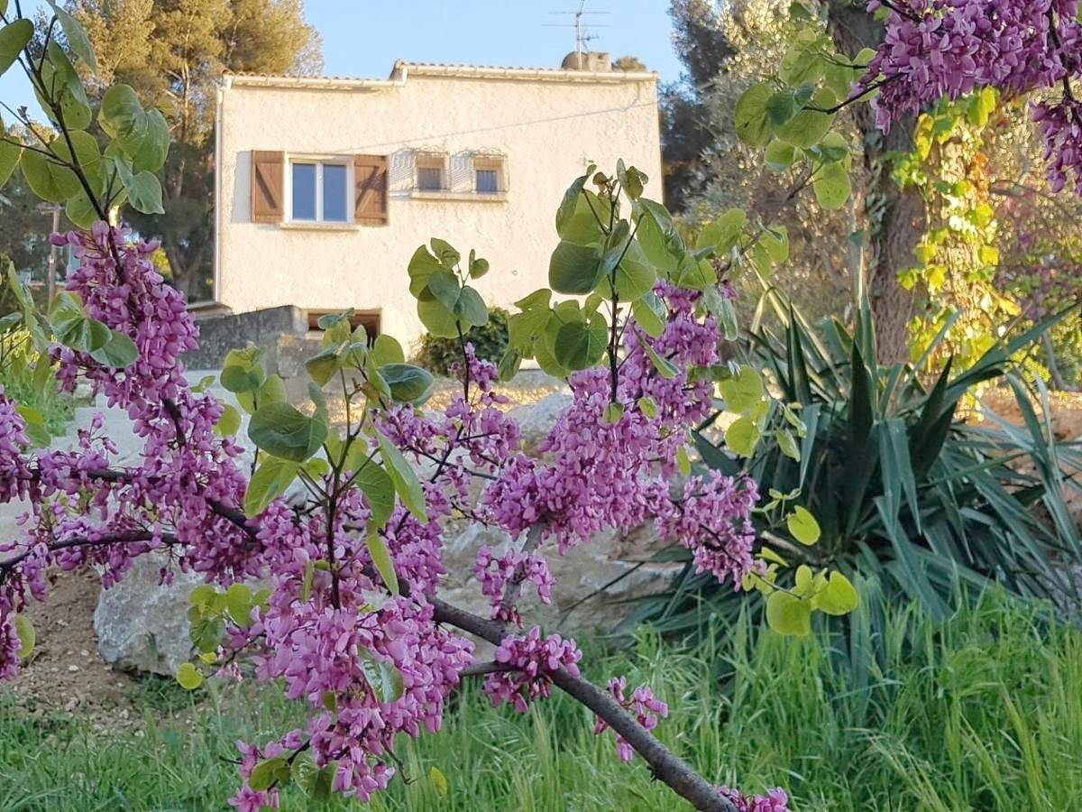 Villa with Sea View in Marseille, Calanques National park