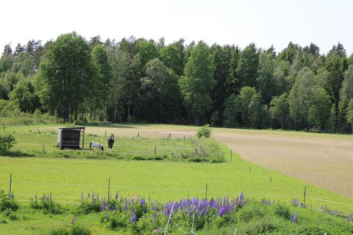 Ferienwohnung für 6 Personen, mit Terrasse und Garten sowie Sauna und Ausblick in Gullspang - 3