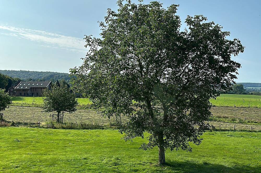 Warm Welcome in Limburg. in Limburg (Netherlands)