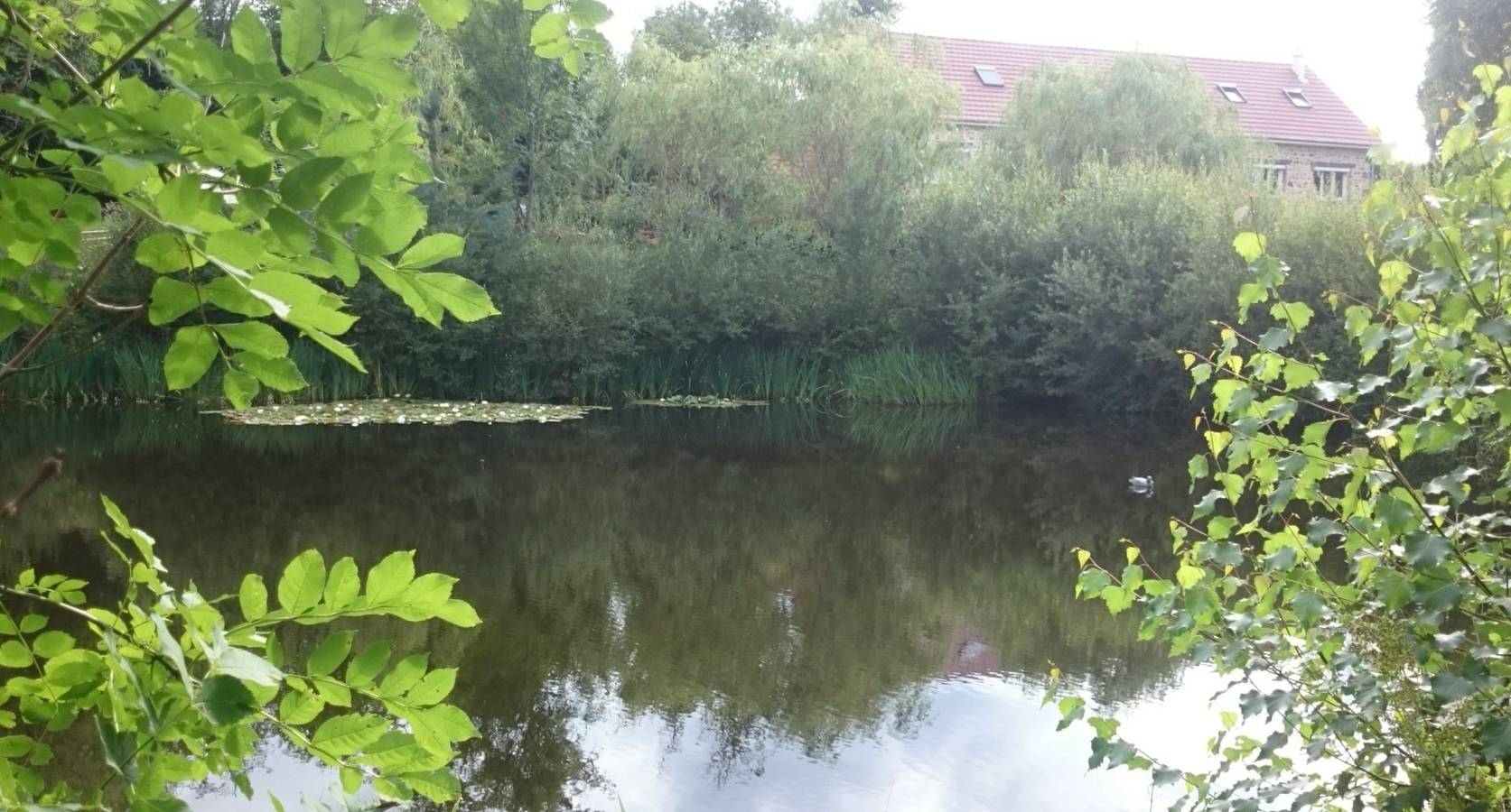 Gîte 18 personnes avec étang in Saint-Jacques-d'Ambur, Région de Riom