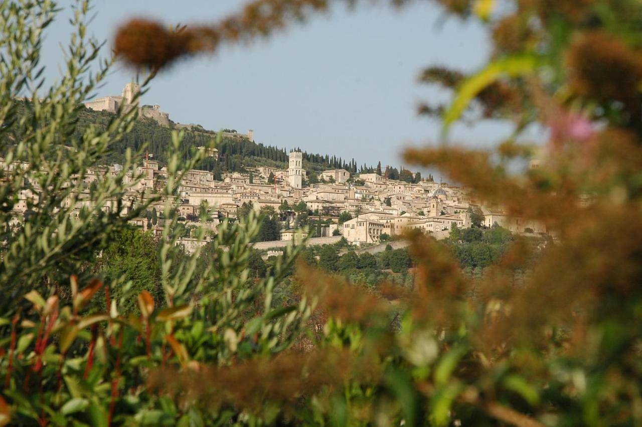 Il Podere del Falco in Assisi, Perugia e dintorni