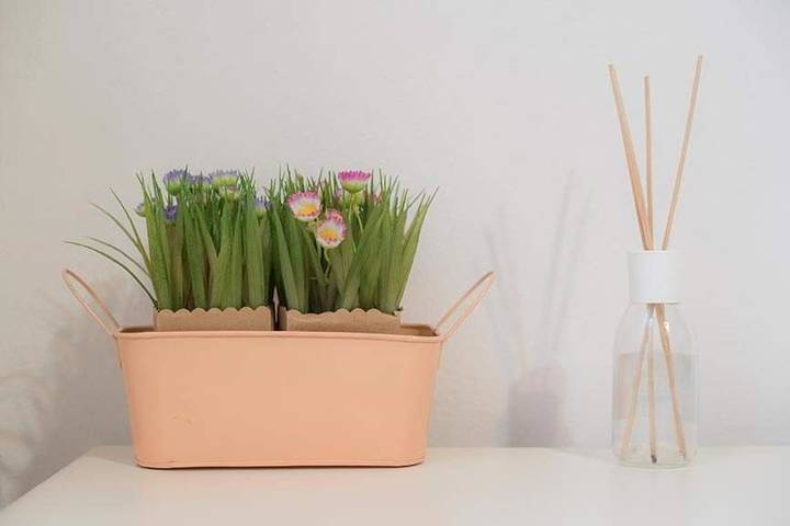 Maison d’hôte pour 2 personnes, animaux acceptés à Vernazza - 3