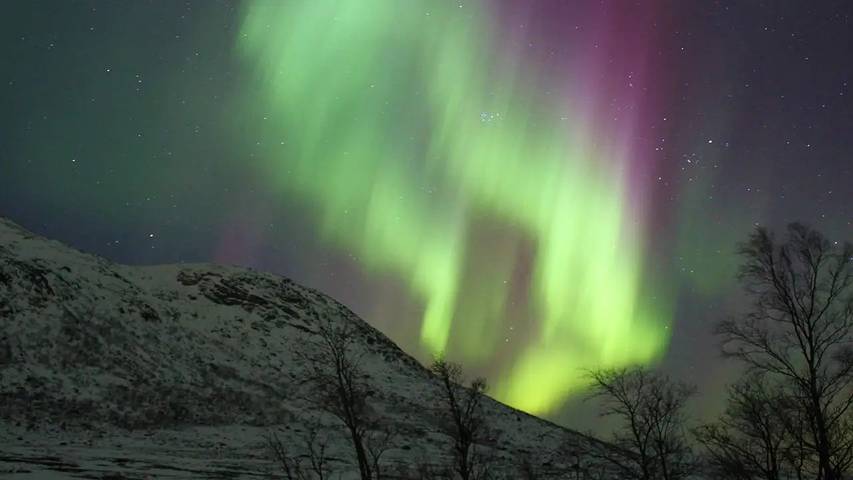 Ferienhaus für 11 Personen, mit Whirlpool und Garten auf den Lofoten - 3