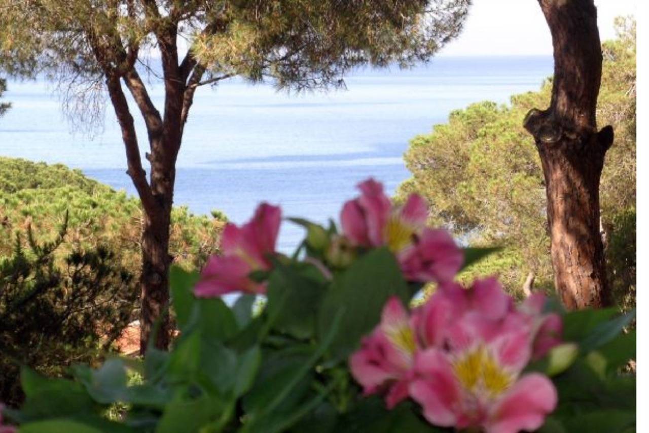 Ganze Ferienwohnung, Ferienwohnung für 4 Personen mit Garten in Madonna delle Grazie, Capoliveri