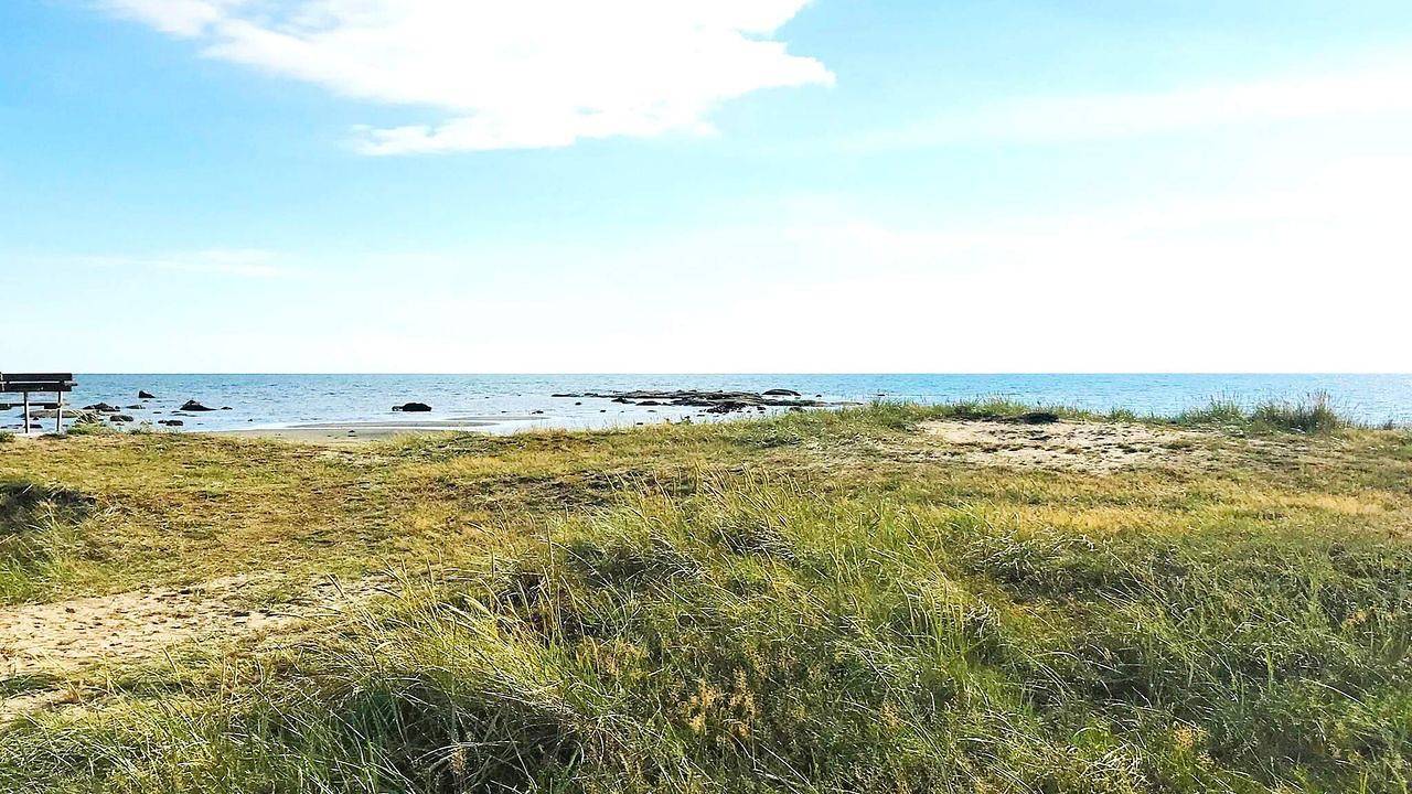 Ferienhaus für 5 Personen (80 m²) in Mellbystrand in Mellbystrand, Halland